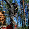 Forest Steel Crane Hood