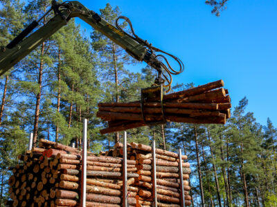 forestry_crane_hood