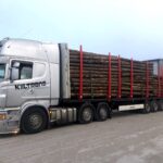 timber bunks
